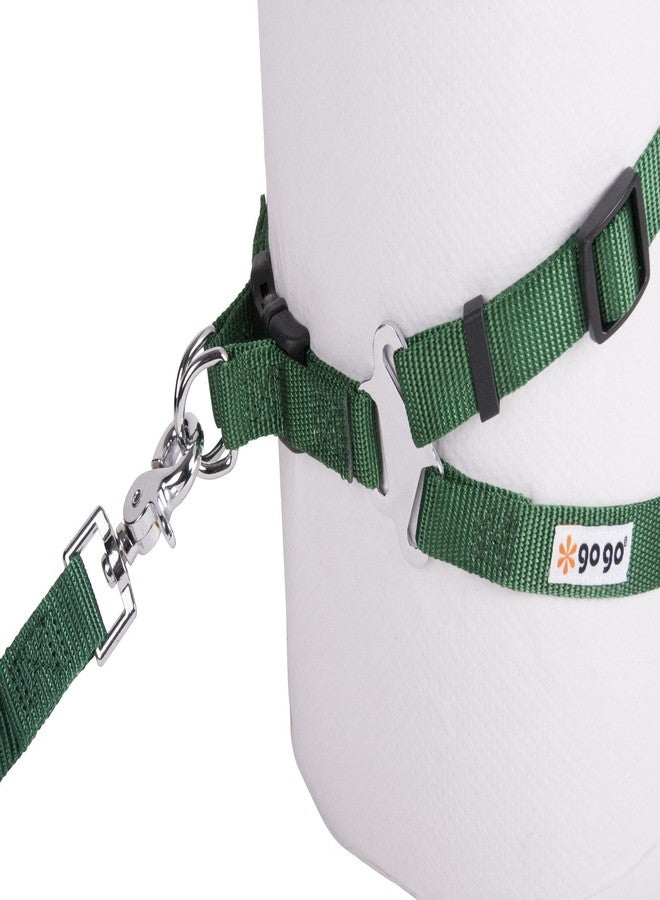 جوجو حزام صدر مريح للحيوانات الأليفة من النايلون قابل للتعديل مقاس 3/4 بوصة من GOGO Pet Products، متوسط، أخضر غامق - Image 4
