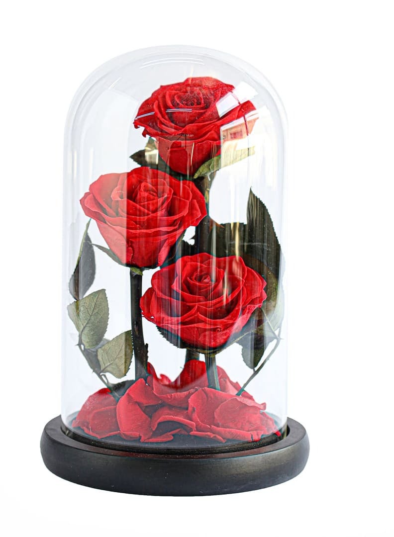 Si Bonne Preserved Forever Red Rose in Luxury Glass Dome 14*23 - Eternal Flower Gift for Women's Day, Valentine's Day, Wedding Anniversary, and Birthday - Image 1