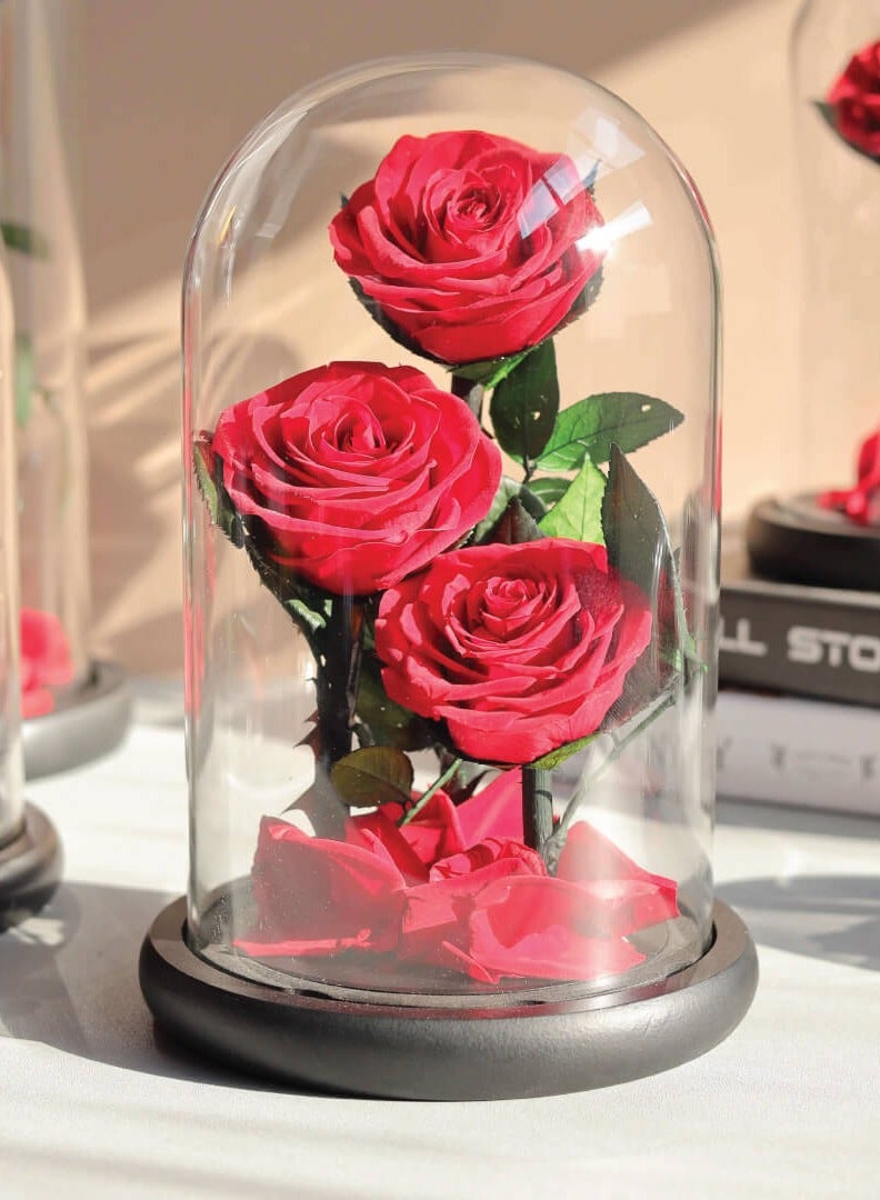 Si Bonne Preserved Forever Red Rose in Luxury Glass Dome 14*23 - Eternal Flower Gift for Women's Day, Valentine's Day, Wedding Anniversary, and Birthday - Image 2