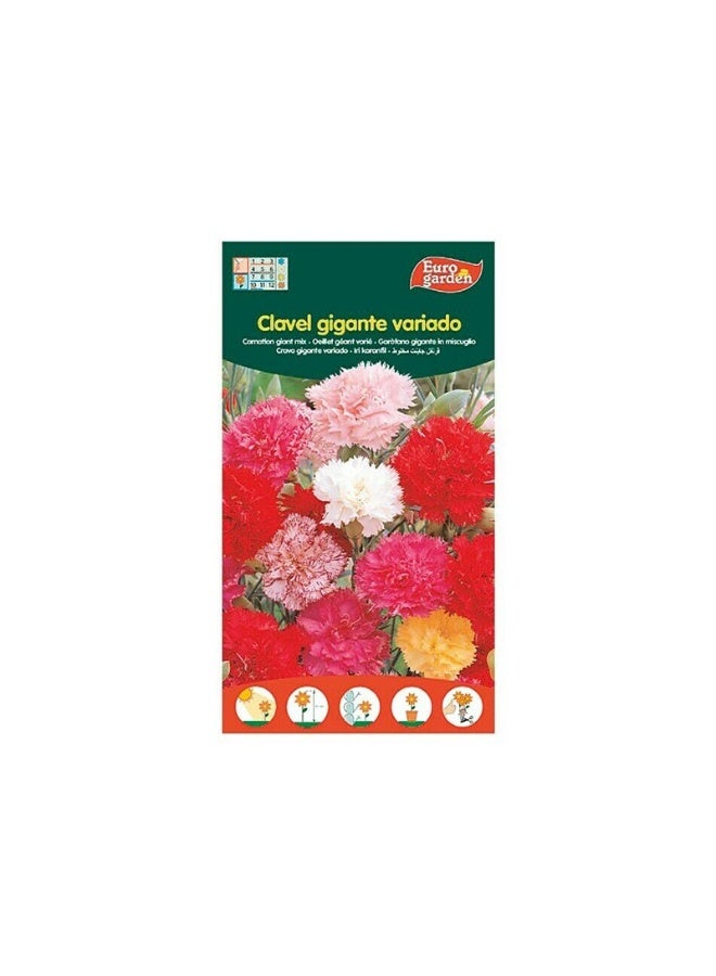 Euro Garden EG Carnation Giant Mix Seeds