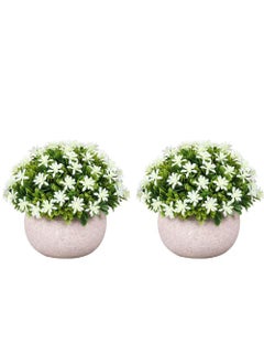 Rock Pow 2Pcs Mini Topiary Faux Plants Indoor- Small Fake Plants Decor Magnolia Home Office Desk Cubicle Farmhouse Kitchen Bookshelf Bedroom Bathroom Decor, Aloe Vera Zen Garden  - Image 1