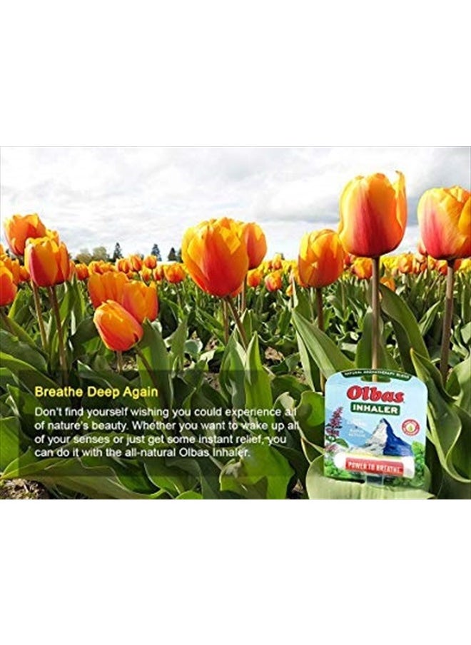 Olbas Inhaler, 0.01 Ounce  - Image 3