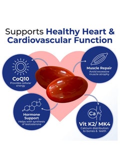 xtendlife Xtendlife Xtend-Quinol CoQ10 & GG Advanced Ubiquinol & Geranylgeraniol (GG) Supplement for Active CoEnzyme Q10 Production, Helps Maintain Normal Cellular Energy & Aging Health, 60 Soft Gels (2 Pack)  - Image 4