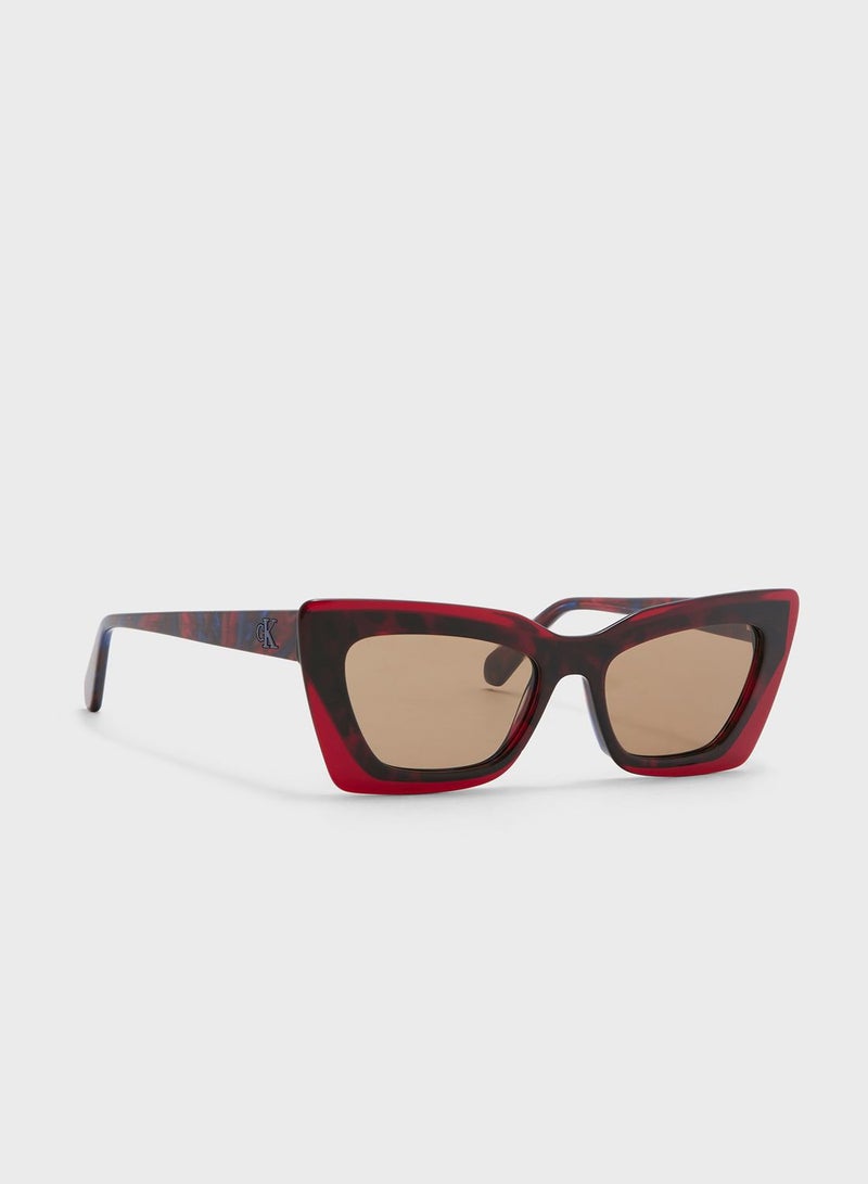 Calvin Klein Jeans Cat Eye Sunglasses - Image 1