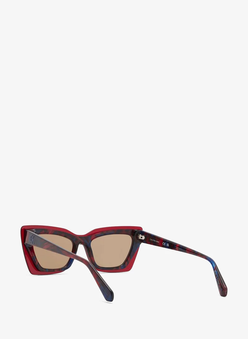 Calvin Klein Jeans  Cat Eye Sunglasses for Women | Best Price UAE