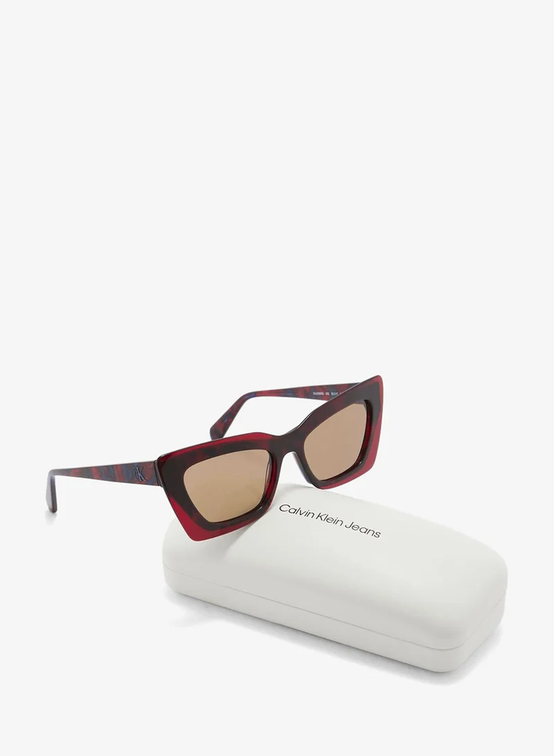 Calvin Klein Jeans  Cat Eye Sunglasses for Women | Best Price UAE