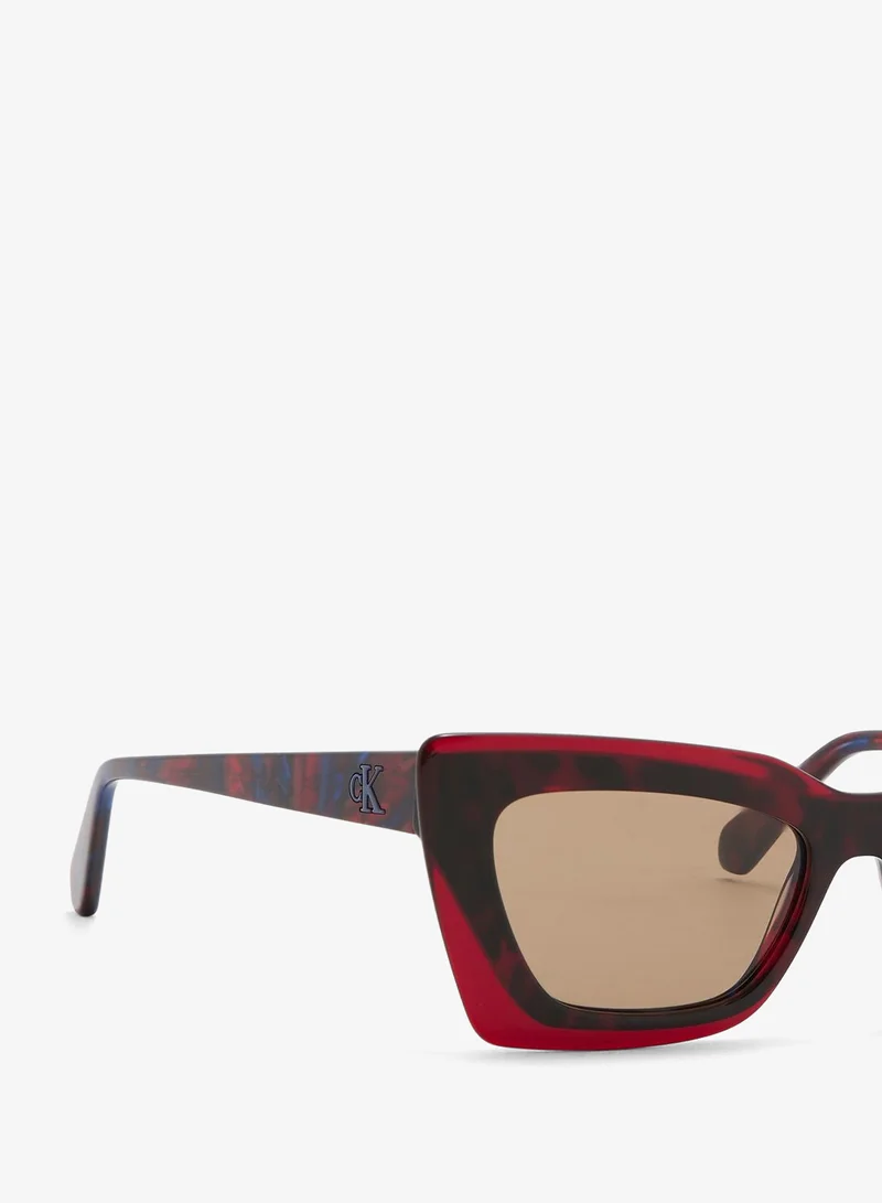 Calvin Klein Jeans  Cat Eye Sunglasses for Women | Best Price UAE