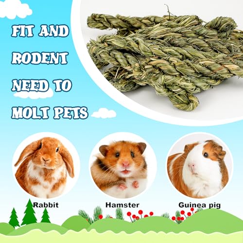 matafat 25pcs Rabbit Timothy Hay Toy for Bunny Small Animal Treats Natural Grass Stick Chew Toys Snacks Molar Teeth Grinding for Guinea Pigs Chinchillas Hamsters - Image 5