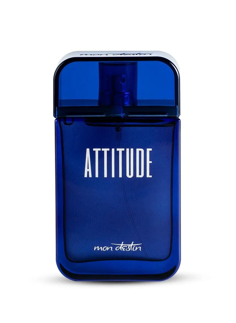 Mon Destin Attitude EDP For Men 100ML - Image 2