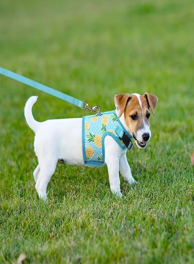 BINGPET Cat Harness - with Leash Included - Mesh Cat Dog Walking Harness Adjustable Harness for Kitties Puppy Harness Adjustable Cat Vest Harness Small Pineapple - Image 5