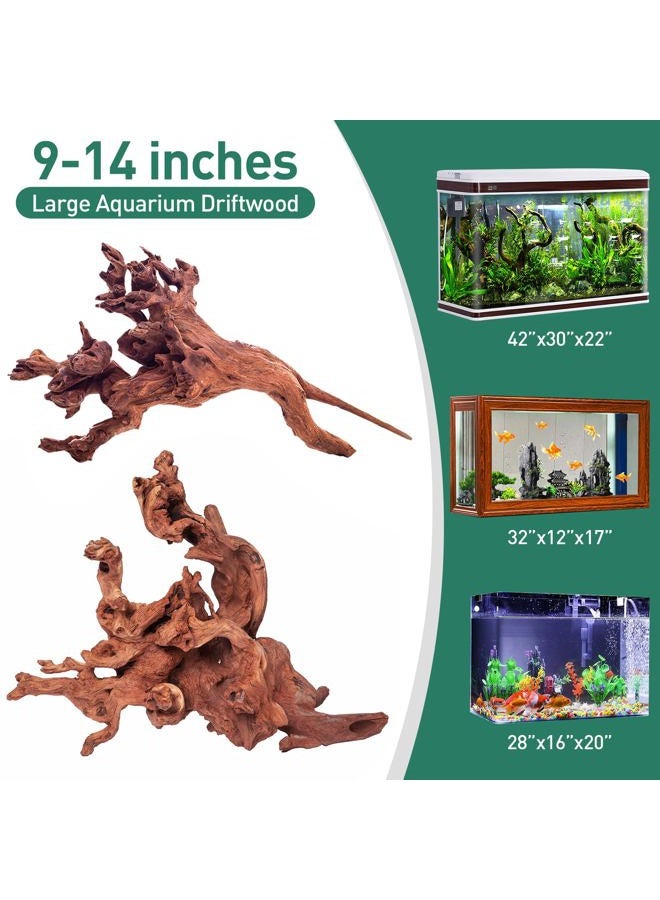 WDEFUN Natural Large Driftwood for Aquarium Decor Fish Tank Decoration, 2 Pieces 9-14" Assorted Branch for Decorations on Reptiles Tank - Image 2