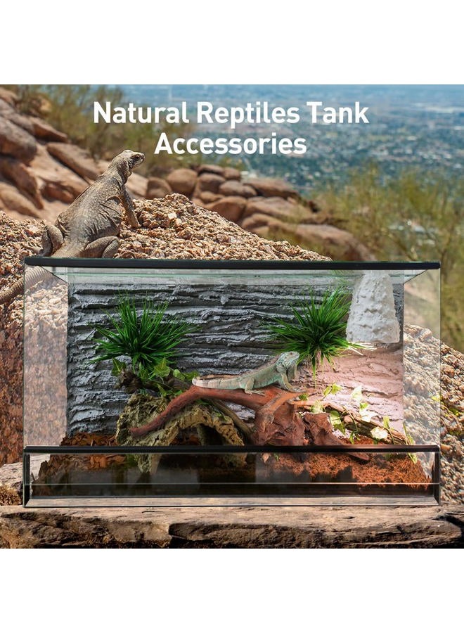 WDEFUN Natural Large Driftwood for Aquarium Decor Fish Tank Decoration, 2 Pieces 9-14" Assorted Branch for Decorations on Reptiles Tank - Image 5