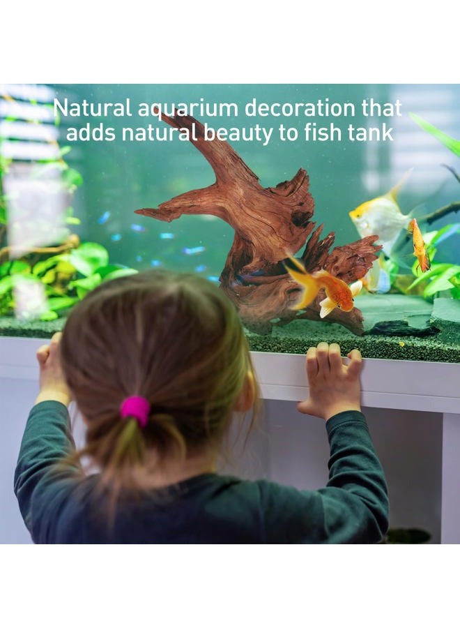 WDEFUN Natural Large Driftwood for Aquarium Decor Fish Tank Decoration, 2 Pieces 9-14" Assorted Branch for Decorations on Reptiles Tank - Image 4