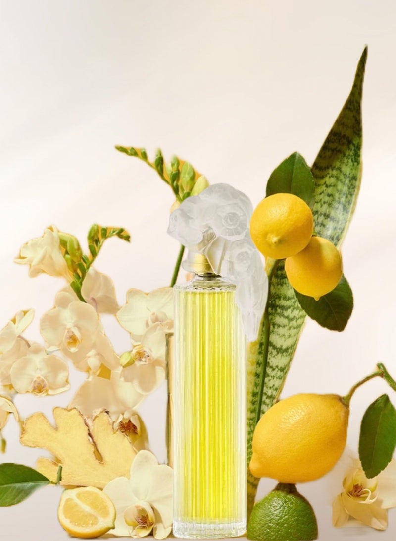 جيه كازانوفا عطر بلازير او دي برفيوم للنساء من جي كازانوفا 50 مل - Image 3