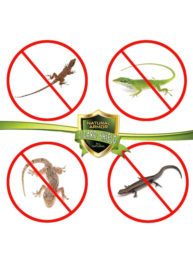 Natural Armor Lizard And Gecko Repellent Spray - Powerful Peppermint Formulation Repels All Types Of Lizards And Geckos And Works Better Than Ultrasonic Gimmicks – 128 Fl Oz - Gallon Ready To Use  - Image 2