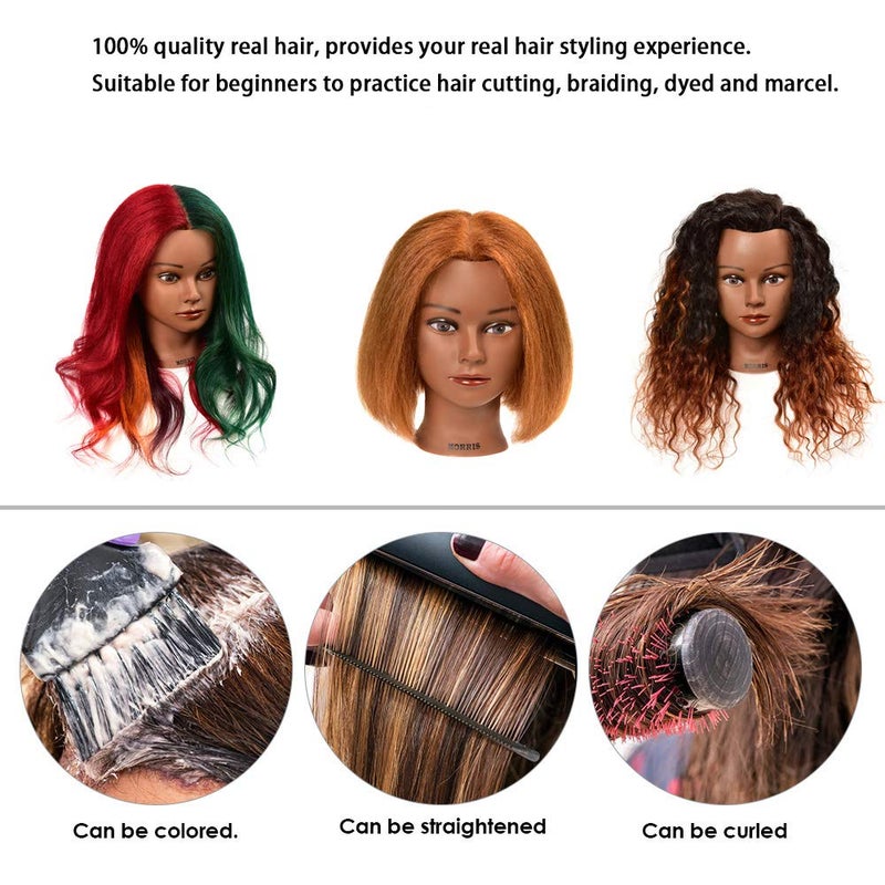Morris Mannequin Head 100% Real Hair Hairdresser Cosmetology Mannequin Manikin Head Training Practice Head Hairstyle Practice Doll Real Hair Mannequin Heads and Free Clamp Holder 16 inch - Image 4