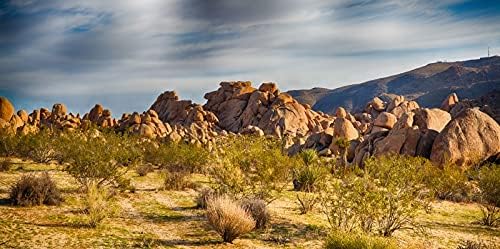 Laeacco Dusk Gobi Desert Scenic 15x8ft Vinyl Photography Background Setting Sun Weathered Rock Mountains Plants Backdrop Wedding Shoot Landscape Wallpaper Birthday Banner Studio Props - Image 4