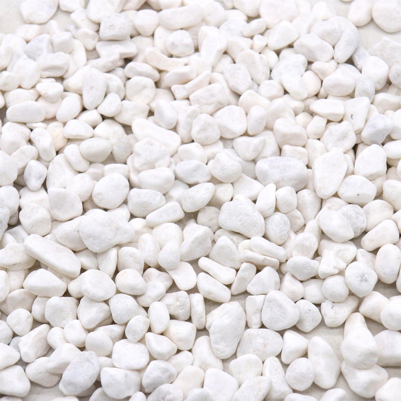 Premium Pebbles Rocks for Plants. White Decorative Pebbles. 0.5 to 1 Inch 18 lbs. for Garden, Landscaping, Indoor, Vase fillers, Crafting, Succulents, pots, Plants - Image 1