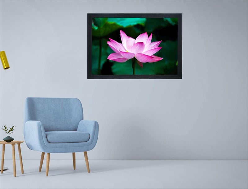 Devatwal Lotus Flower Photo Frame For Wall Mounted Painting (10 * 14 Inch) 703-LNP - Image 3