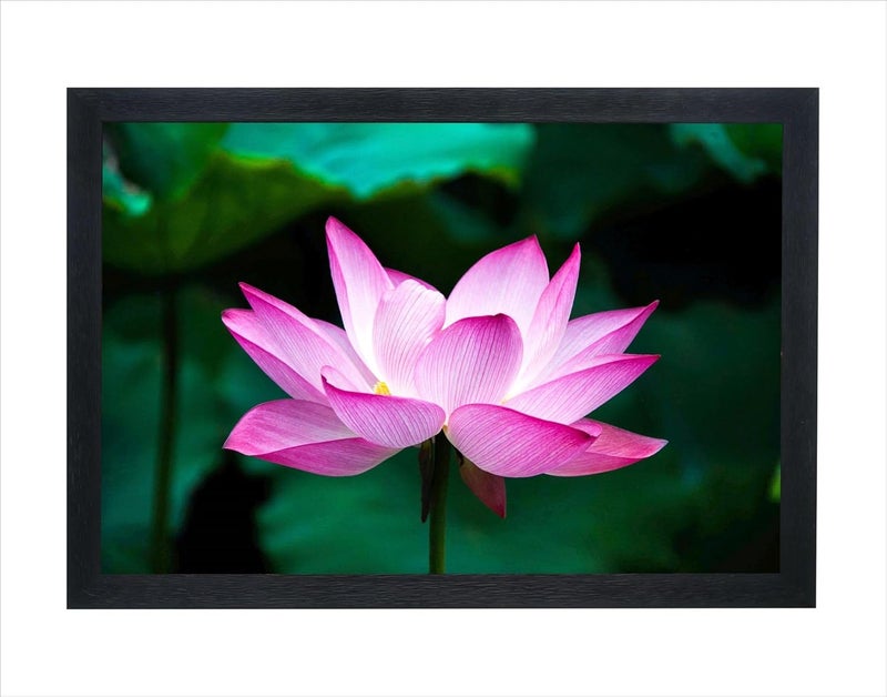 Devatwal Lotus Flower Photo Frame For Wall Mounted Painting (10 * 14 Inch) 703-LNP - Image 1