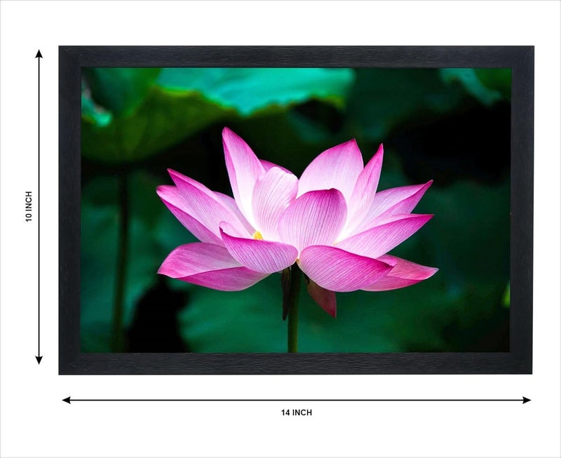 Devatwal Lotus Flower Photo Frame For Wall Mounted Painting (10 * 14 Inch) 703-LNP - Image 2