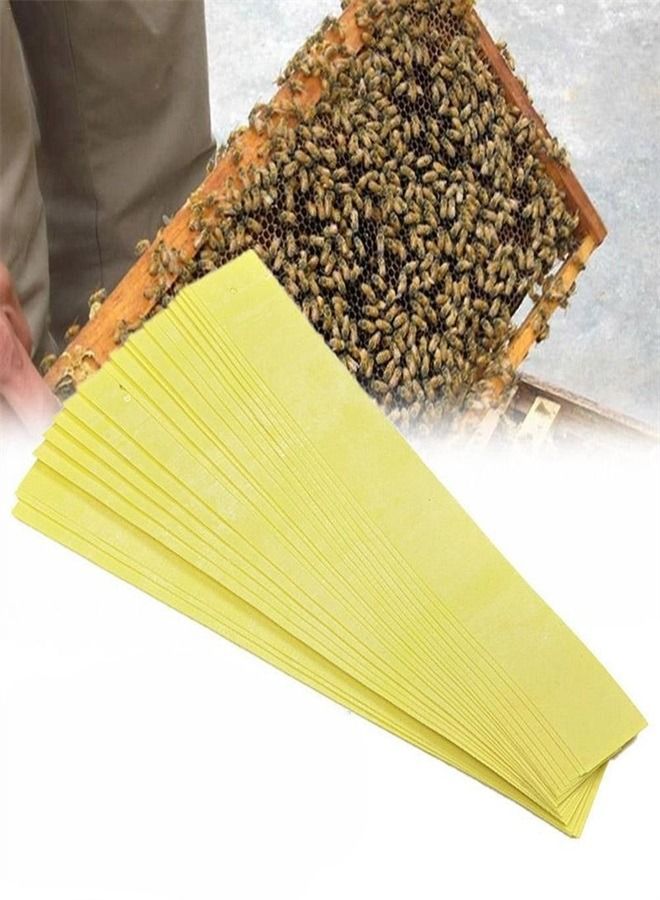 HiMo Bee Mite Control 20 Pieces Bee Mite Strips Mite Control Product for Beekeeping Supplies Hive Tool - Image 1