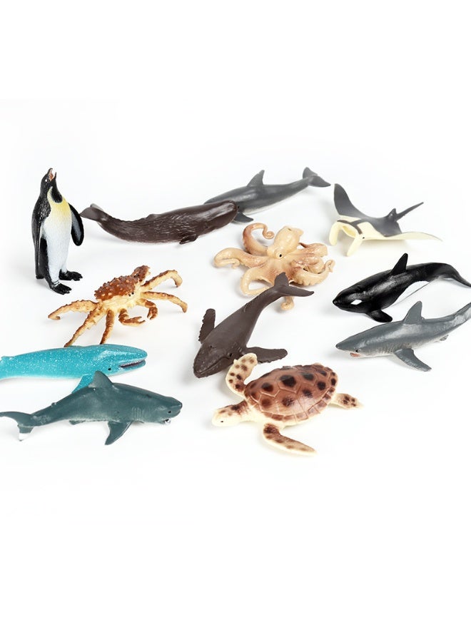 هالامودو مجموعة نموذج الحيوانات البحرية الصغيرة 12 قطعة -صور مخلوقات محيطية واقعية، بما في ذلك البطريق، سرطان الملك، السلحفاة، الأخطبوط، أوركا، القرش، الدلفين الخ، الأطفال تطوير الخيال، ألعاب المحيط البلاستيكية الدائمة، ألعاب الأطفال المعرفية، هدية حفلة المحيط موضوع، هدية عيد الميلاد للأولاد والبنات - Image 4