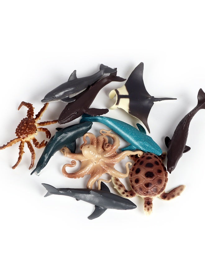 هالامودو مجموعة نموذج الحيوانات البحرية الصغيرة 12 قطعة -صور مخلوقات محيطية واقعية، بما في ذلك البطريق، سرطان الملك، السلحفاة، الأخطبوط، أوركا، القرش، الدلفين الخ، الأطفال تطوير الخيال، ألعاب المحيط البلاستيكية الدائمة، ألعاب الأطفال المعرفية، هدية حفلة المحيط موضوع، هدية عيد الميلاد للأولاد والبنات - Image 5