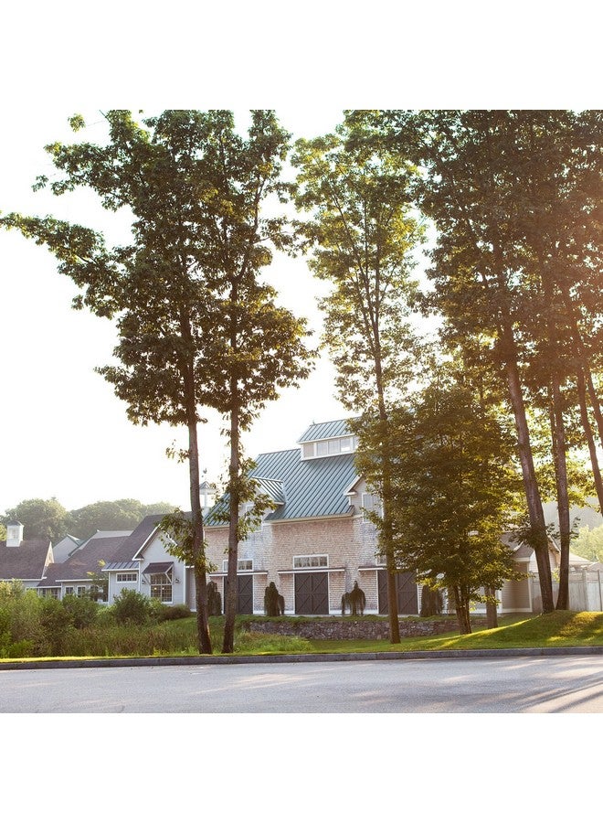 ستون وال كيتشن مربى الثوم والبصل المشوي من ستونوول كيتشن، 13 أونصة - Image 5