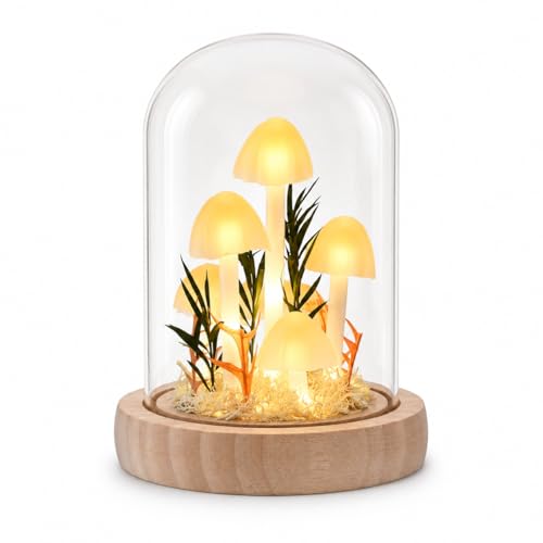 QUELIEN Mushroom Lamp,Mothers Day Mom Gifts for Mom,Light Up Mushroom in Glass Dome,Birthday Party Decorations,Ideal Birthday Gift,GirlfriendGift - Image 1