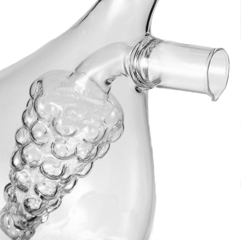 Eleton Kitchen Storage Cooking Tools Oil And Vinegar Glass Bottle  Grape Double Pourer Spout Stoppers Oil Vinegar Cruet - Image 5