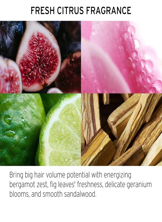 FEKKAI Brilliant Gloss Travel Bundle - Full Blown Volume Shampoo (2 oz) and Conditioner (2 oz), Brilliant Gloss Glass Hair Anti-Frizz Oil Serum (3.4 oz) + Full Blown Volume Texturizer (1.7 oz) - Image 4