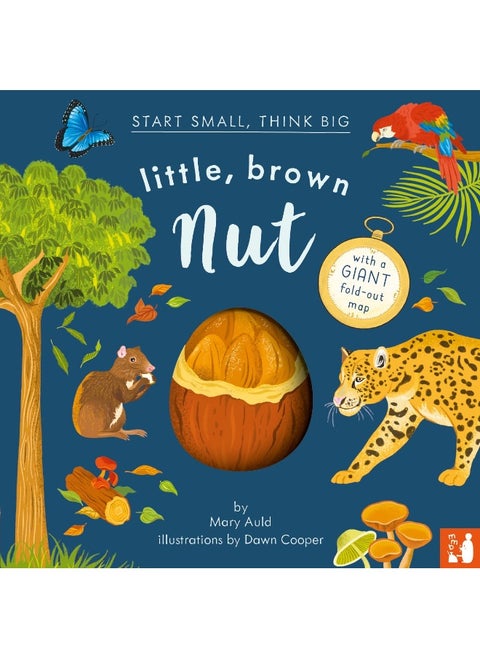 Little, Brown Nut: A fact-filled picture book about the life cycle of the Brazil nut tree, with fold-out map of the Amazon rainforest (ages 4-8)