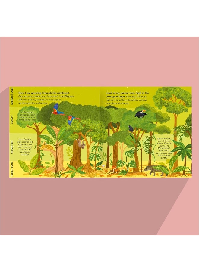 Little, Brown Nut: A fact-filled picture book about the life cycle of the Brazil nut tree, with fold-out map of the Amazon rainforest (ages 4-8)