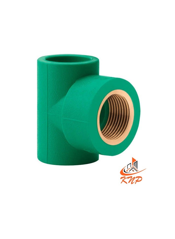KNP PPR Female Tee 3/4" X 20mm - Image 2