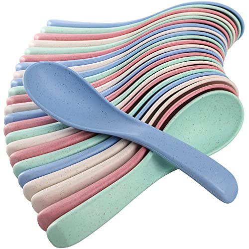 WUWEOT 24 Pack Wheat Straw Soup Spoons, 6 Inches Colourful Unbreakable Meal Spoon, Cereal Dinner Spoon, Microwave Dishwasher Safe - Image 1