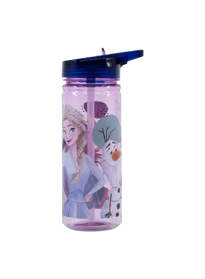 STOR Frozen Ecozen Leak-Proof Water Bottle with Sippy Straw Purple and Blue 580 ml  - Image 1