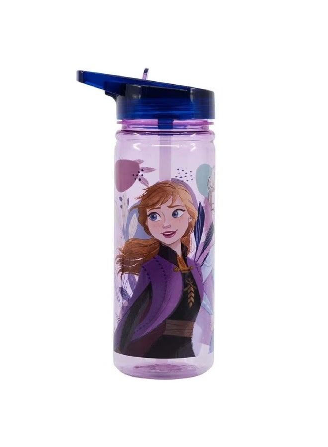 STOR Frozen Ecozen Leak-Proof Water Bottle with Sippy Straw Purple and Blue 580 ml  - Image 2