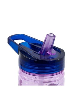 STOR Frozen Ecozen Leak-Proof Water Bottle with Sippy Straw Purple and Blue 580 ml  - Image 4