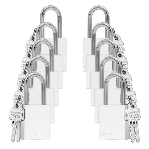TRADESAFE Lockout Tagout Locks Set - 10 Silver Aluminum Loto Locks, Keyed Different Lock Out Tag Out Padlocks, 2 Keys Per Lockout Padlock, OSHA Compliant - Image 1