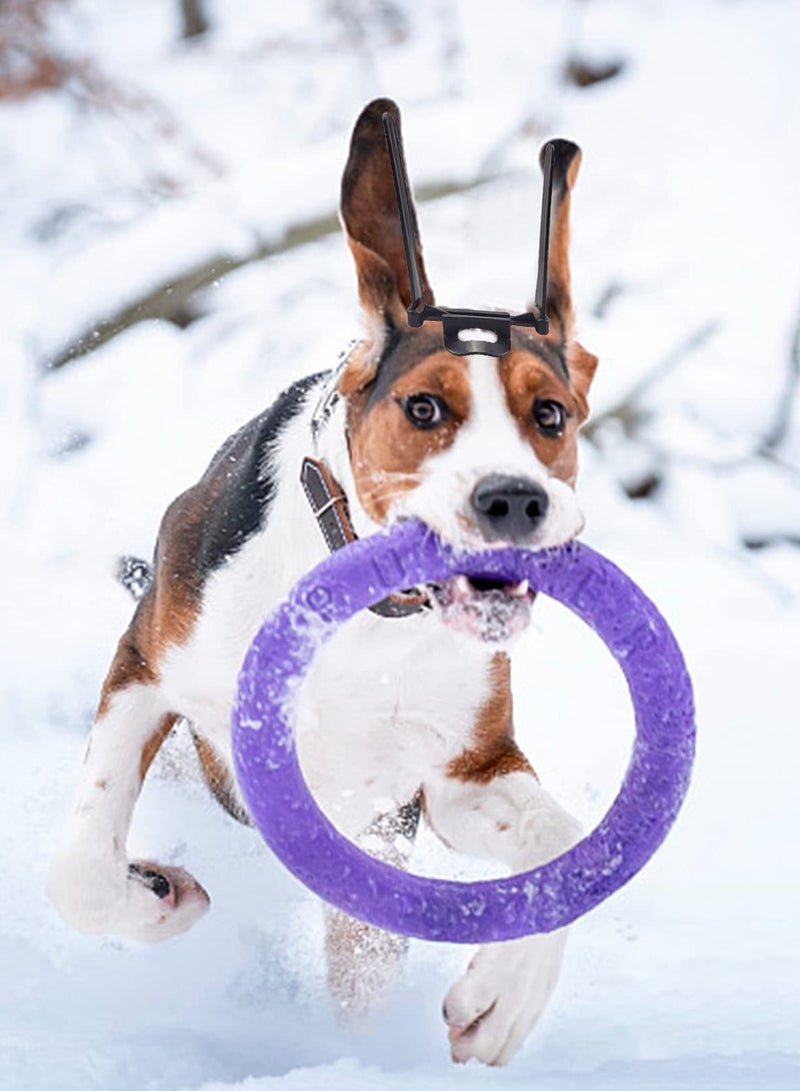 SOLARAE Dog Ear Care Tool, Pet Dog Ear Fixed Support Up Correction Vertical Stand for Doberman Pinscher Dog Samoyed in Black - Image 2