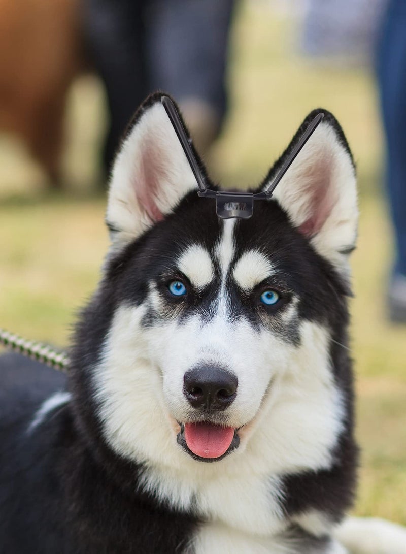 SOLARAE Dog Ear Care Tool, Pet Dog Ear Fixed Support Up Correction Vertical Stand for Doberman Pinscher Dog Samoyed in Black - Image 3