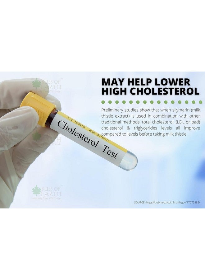 Bliss of Earth Milk Thistle Seeds 500gm & Hazelnut 500gm Turkish Dry Fruits A Powerful Combination for Liver Detox, Antioxidant Support, and Nutrient-Rich Great for Health and Wellness (Pack of 2) - Image 5