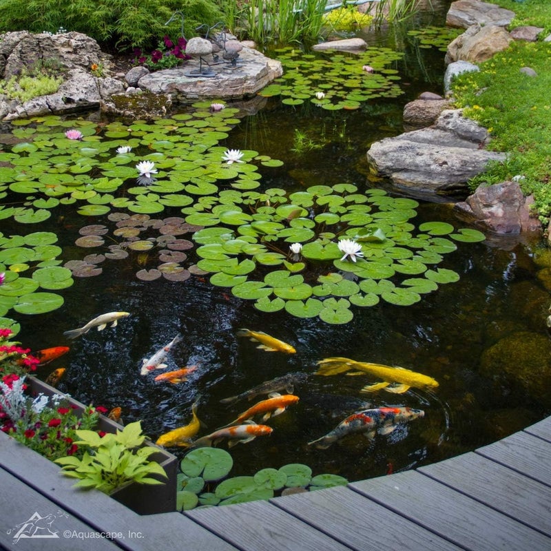 Aquascape Aquascape SAB Stream  Pond Cleaner Water Treatment 7 lb Granular  98896  - Image 4
