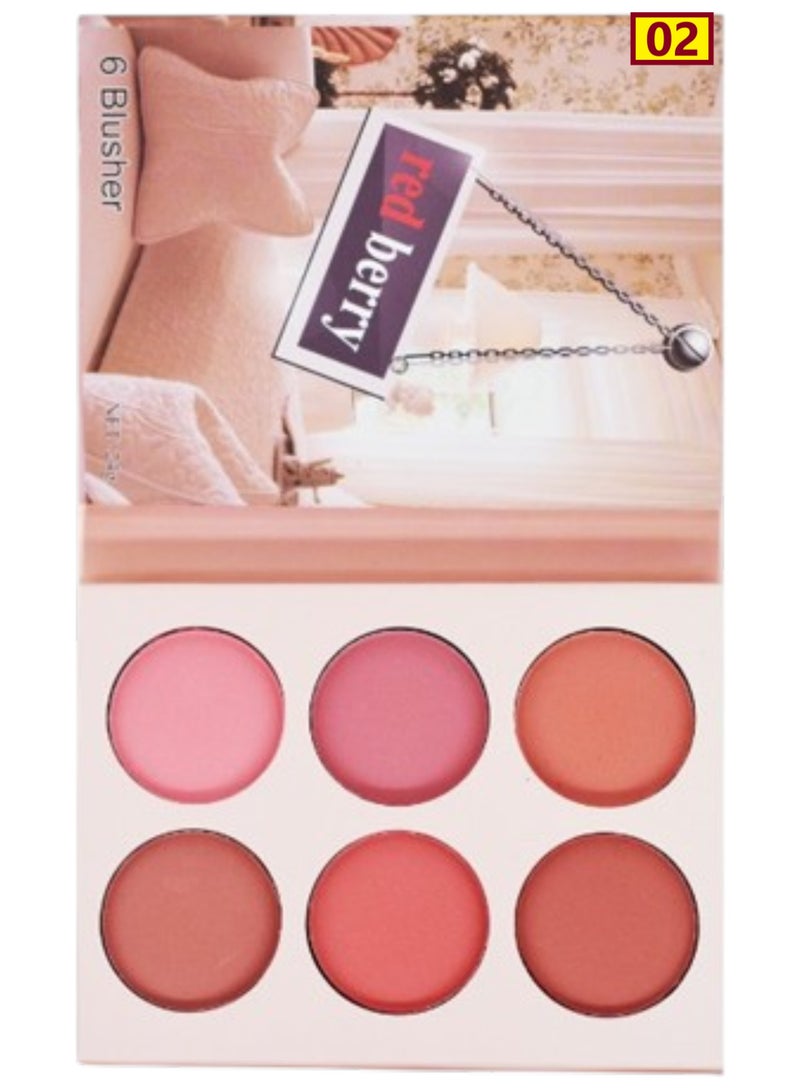 6 Blusher Palette Multicolour 02