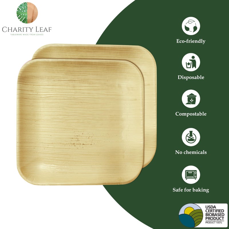 Charity Leaf 8"" Square Palm Leaf Plates (50-pack) | Eco-friendly  Heavy Duty | For Parties  Weddings  BBQs & Catering - Image 2
