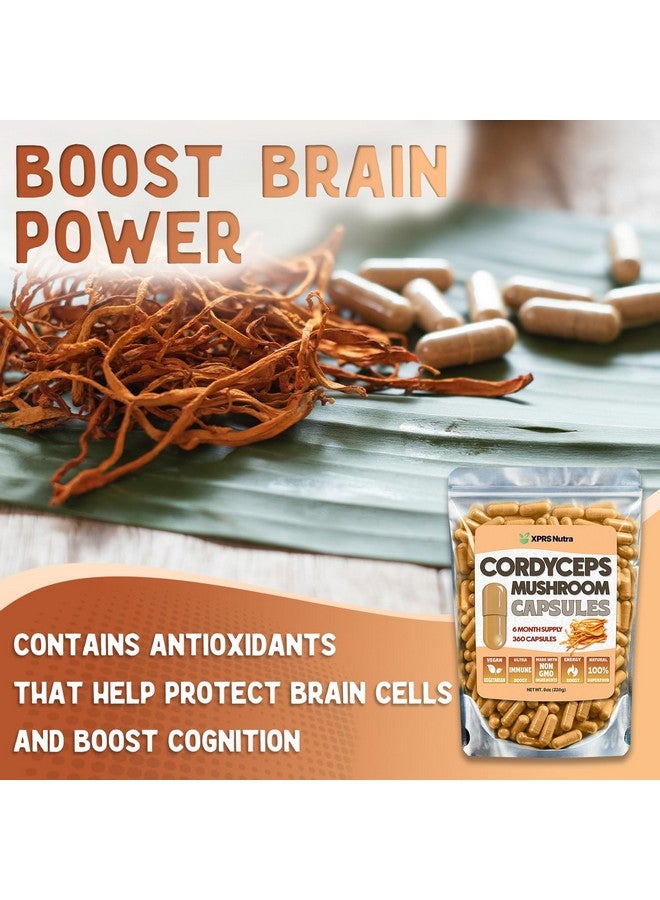 XPRS Nutra Cordyceps Mushroom Powder Capsules - 360 Count (180 Day Supply) - Our Premium Cordyceps Mushroom Capsules Contain Real Mushrooms (Cordyceps Sinensis) to Support Stamina and Performance - Image 3