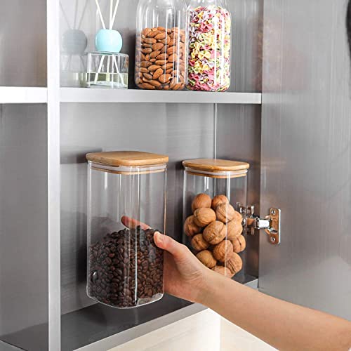 TIENER 1600 ML Glass Storage Containers with Lids, Glass Jars with Lids, Clear Food Jar, Square Canister, Pantry Organizers and Storage for Cookie Flour Oat Pasta Tea Coffee Bean (6, SQ BB JAR 1600ML) - Image 3