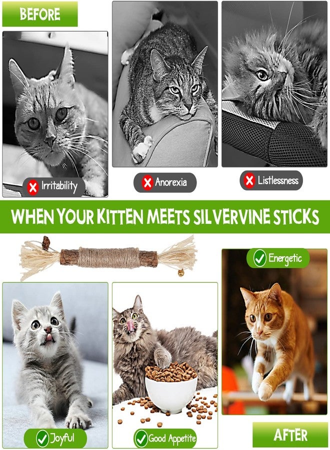 Eschen 4 Pack Natural Silvervine Sticks, Catnip Toy Cat Chews Stick Toys for Indoor Cats Kitten, Teeth Molar Cleaning Relieve Interactive Silvervine Cat Nips Toy with Bell, Reduce Boredom Cats Accessories - Image 4