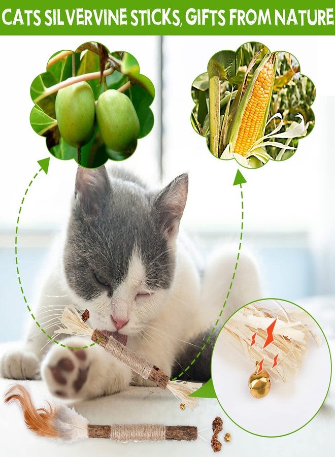 Eschen 4 Pack Natural Silvervine Sticks, Catnip Toy Cat Chews Stick Toys for Indoor Cats Kitten, Teeth Molar Cleaning Relieve Interactive Silvervine Cat Nips Toy with Bell, Reduce Boredom Cats Accessories - Image 5